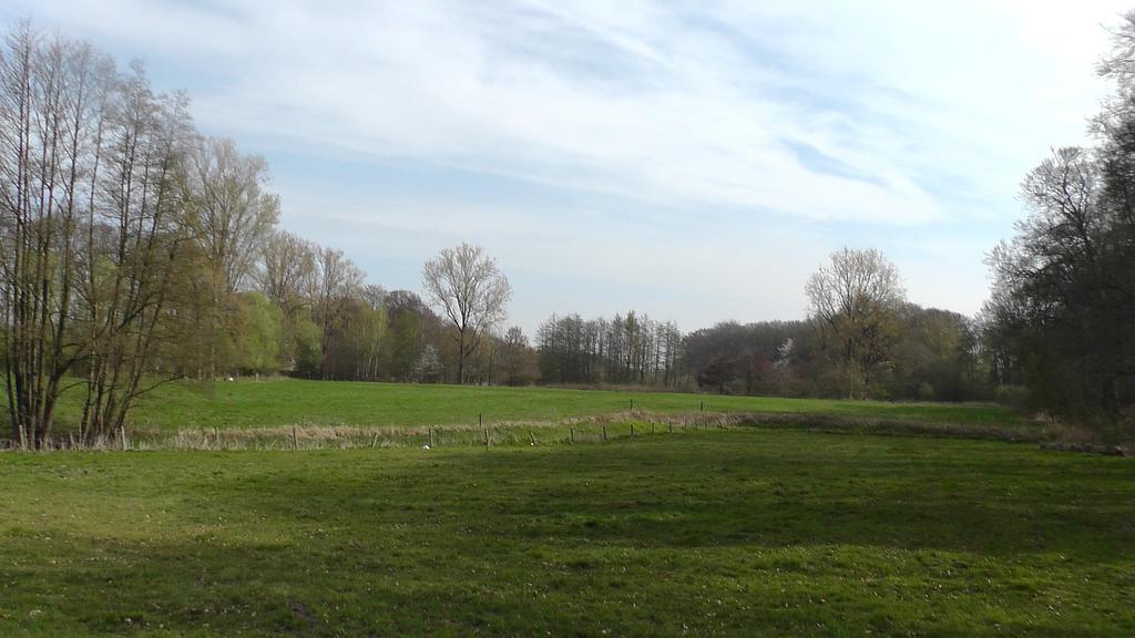 Saerbeck Gasthof Waldesruh מראה חיצוני תמונה